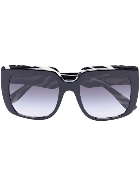 dolce gabbana zebra sunglasses|dolce gabbana unisex sunglasses.